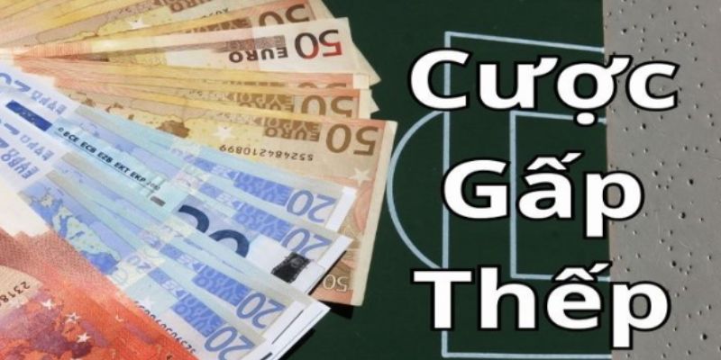 Lợi ích và rủi ro song hành